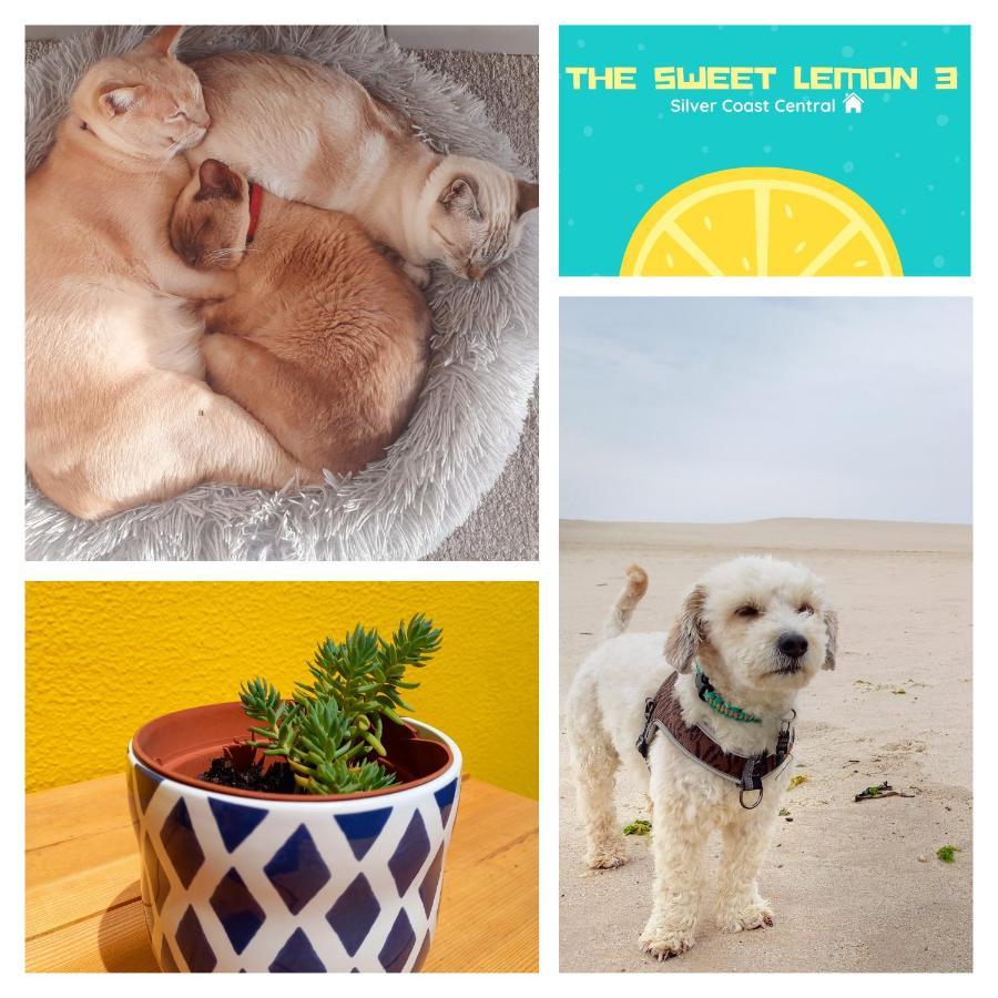The Sweet Lemon 3 Lägenhet Bombarral Exteriör bild